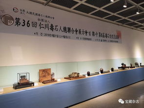 以石為媒，跨越山海 青島民間賞石藝術(shù)開啟跨國(guó)交流新篇章