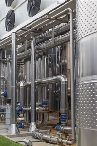 從葡萄到佳釀 探索紅酒生產的藝術與科學