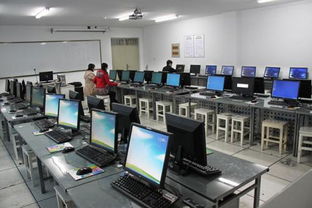 信息與計(jì)算科學(xué)專業(yè)考研 聚焦計(jì)算機(jī)網(wǎng)絡(luò)技術(shù)開發(fā)方向的挑戰(zhàn)與策略