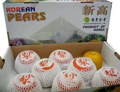 韓國梨產(chǎn)業(yè)發(fā)展模式對(duì)中國梨產(chǎn)業(yè)的啟示
